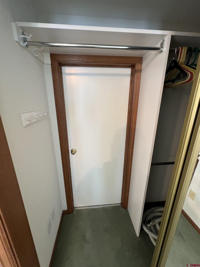 interior space featuring carpet floors