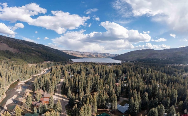 view of mountain feature featuring a water view and a view of trees