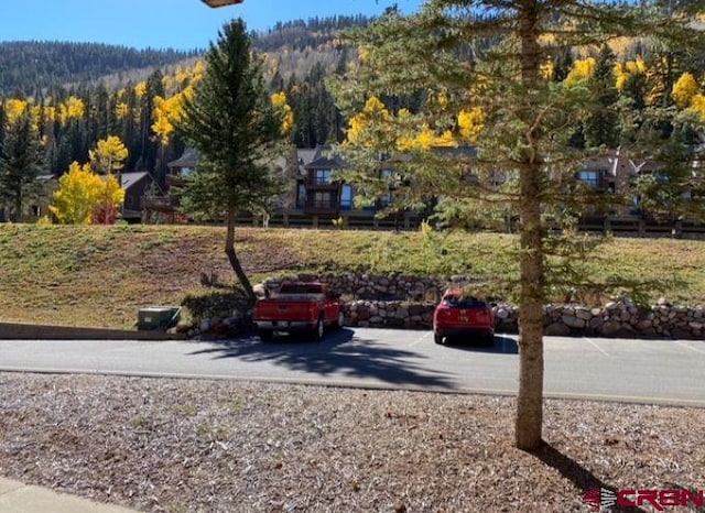 50827 N 550th Hwy Unit 306, Durango, CO 81301 - view of parking featuring a wooded view