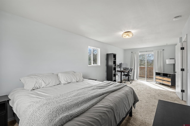 826 E Tamarack Dr, Bayfield, CO 81122 - carpeted bedroom with access to outside