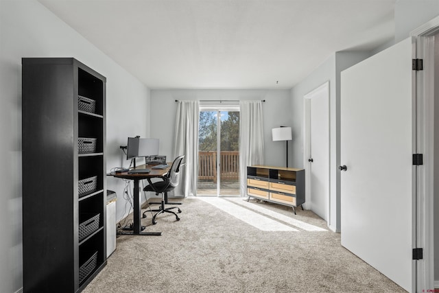 826 E Tamarack Dr, Bayfield, CO 81122 - view of carpeted home office