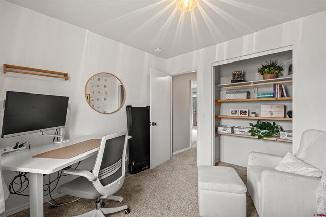 826 E Tamarack Dr, Bayfield, CO 81122 - view of carpeted office space