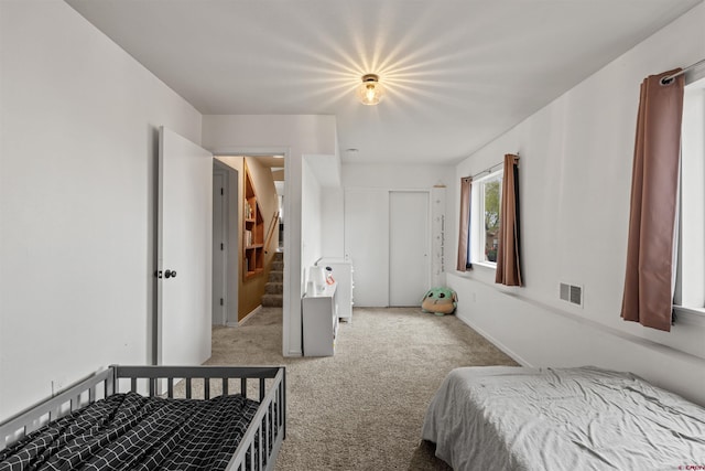 826 E Tamarack Dr, Bayfield, CO 81122 - bedroom featuring carpet, a closet, and visible vents