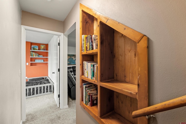 826 E Tamarack Dr, Bayfield, CO 81122 - hall with carpet