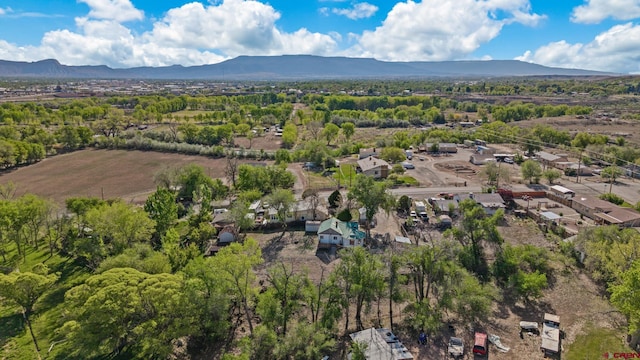 319 Rosevale Rd, Grand Junction, CO 81507 - drone / aerial view featuring a mountain view