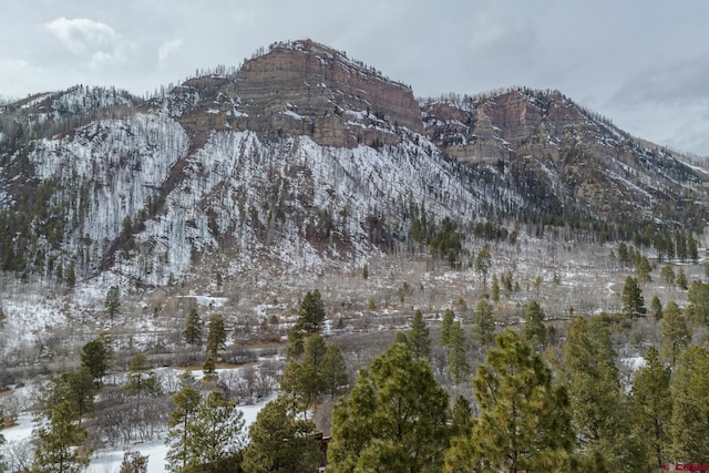 property view of mountains