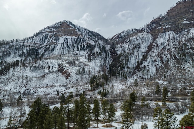 view of mountain feature