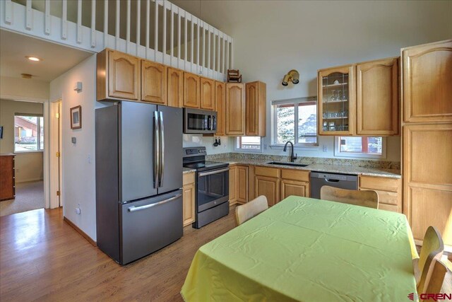 kitchen featuring appliances with stainless steel finishes, a sink, glass insert cabinets, light wood-style flooring, and a wealth of natural light