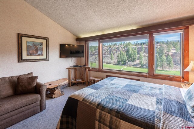 carpeted bedroom with a textured ceiling and lofted ceiling