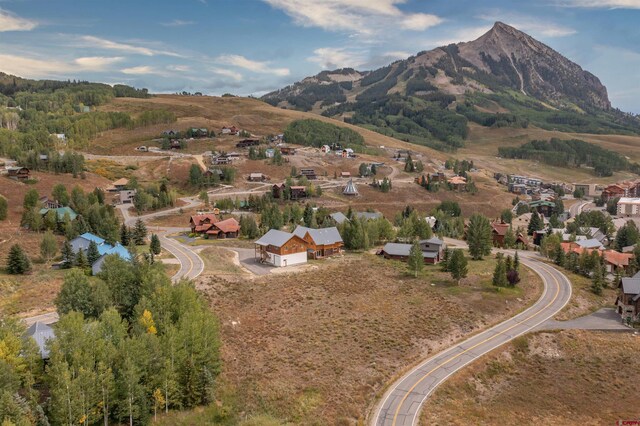 12 Whetstone Rd, Mount Crested Butte, CO 81225