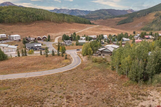 12 Whetstone Rd, Mount Crested Butte, CO 81225