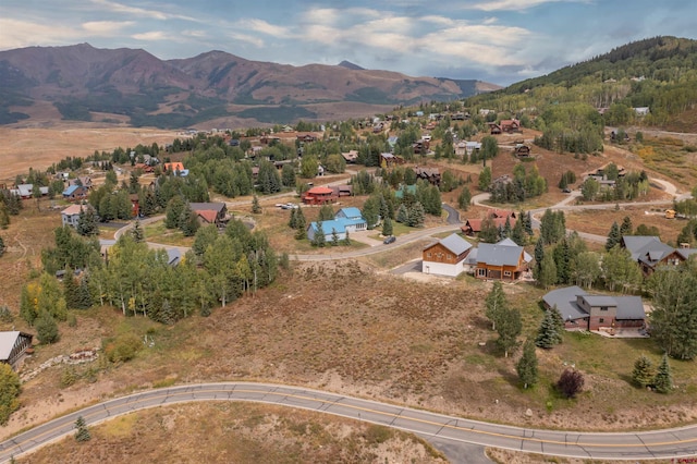 12 Whetstone Rd, Mount Crested Butte, CO 81225