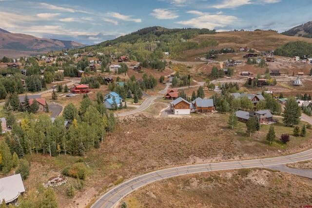 12 Whetstone Rd, Mount Crested Butte, CO 81225