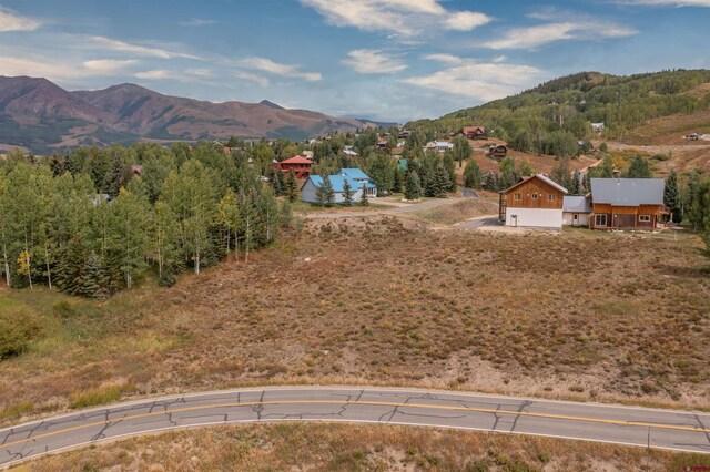 12 Whetstone Rd, Mount Crested Butte, CO 81225
