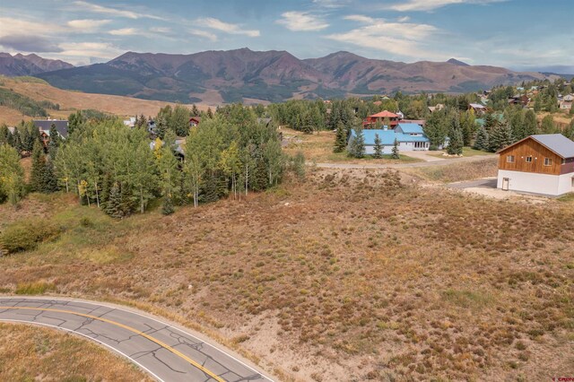 12 Whetstone Rd, Mount Crested Butte, CO 81225