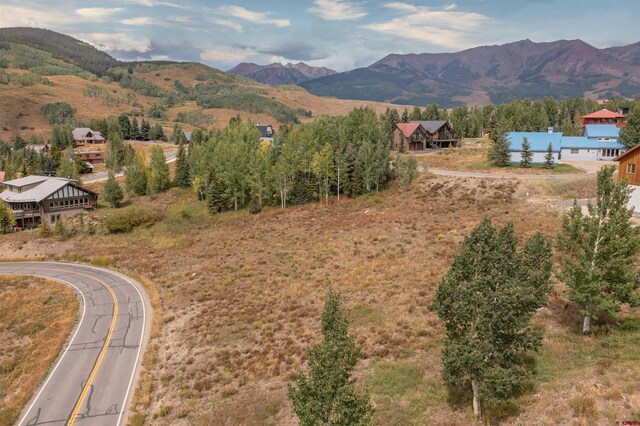 12 Whetstone Rd, Mount Crested Butte, CO 81225