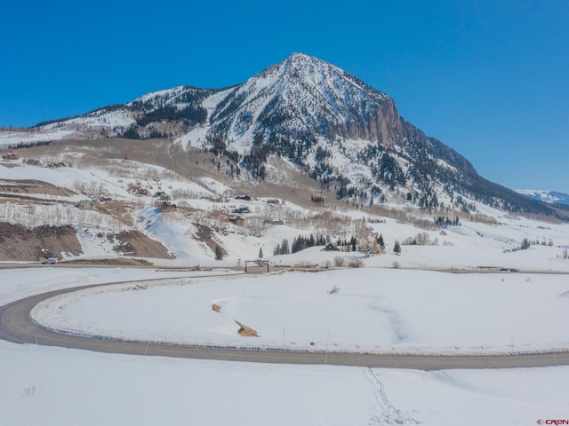 175 Saddle Ridge Ranch Rd, Crested Butte, CO 81224