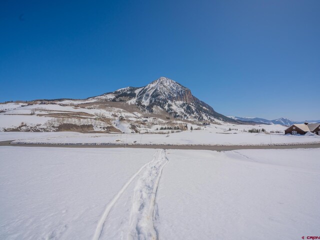 175 Saddle Ridge Ranch Rd, Crested Butte, CO 81224