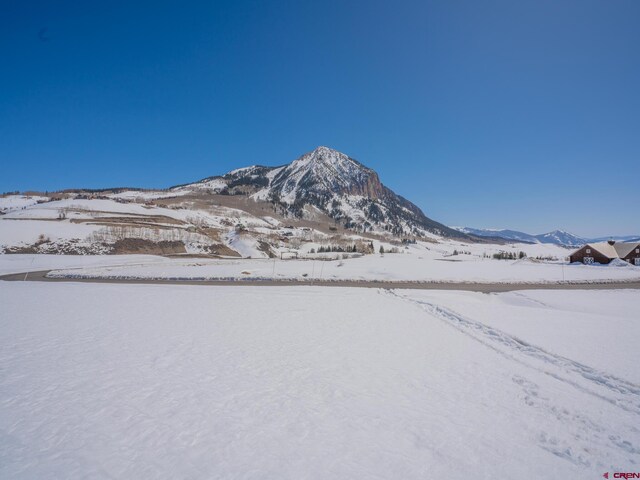 175 Saddle Ridge Ranch Rd, Crested Butte, CO 81224