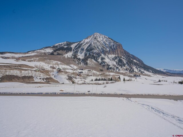 175 Saddle Ridge Ranch Rd, Crested Butte, CO 81224