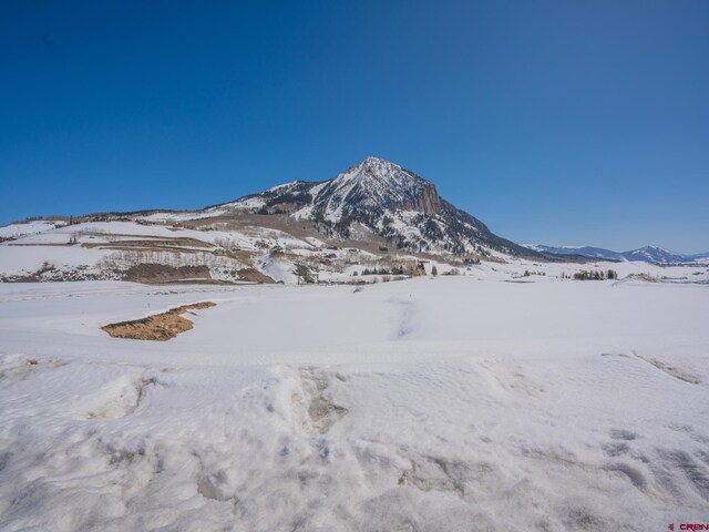 175 Saddle Ridge Ranch Rd, Crested Butte, CO 81224