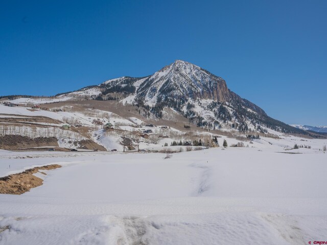 175 Saddle Ridge Ranch Rd, Crested Butte, CO 81224
