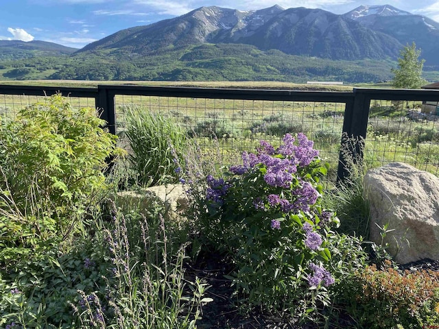 96 Chestnut Ln, Crested Butte, CO 81224 - property view of mountains