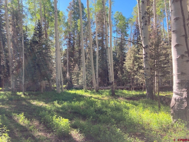 191 Aspen Trl, Cimarron, CO 81220
