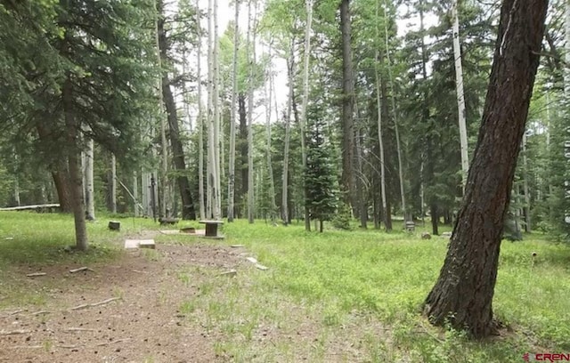 191 Aspen Trl, Cimarron, CO 81220