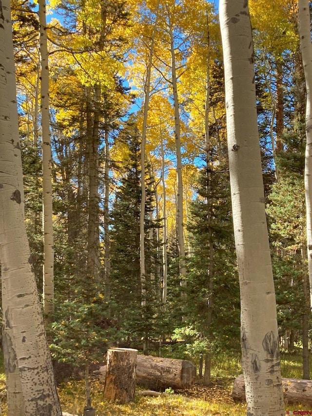 191 Aspen Trl, Cimarron, CO 81220