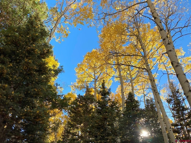 191 Aspen Trl, Cimarron, CO 81220