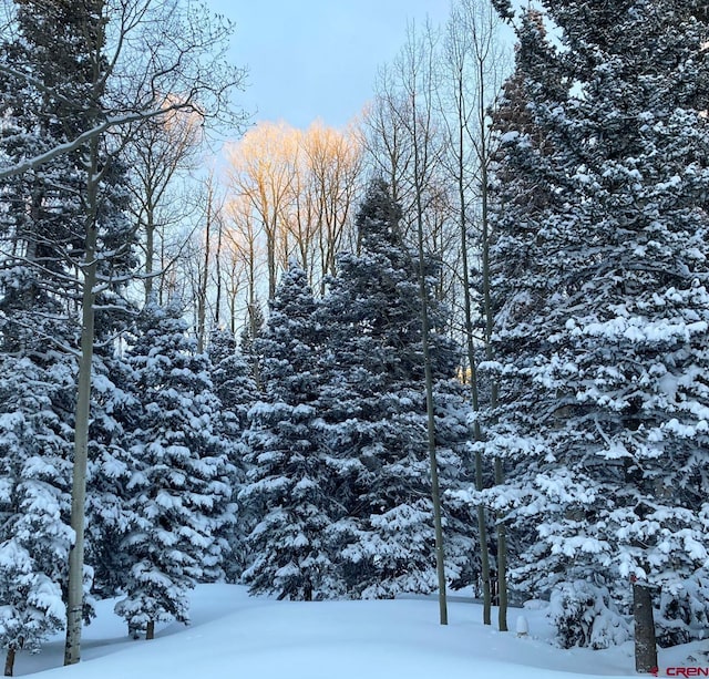 191 Aspen Trl, Cimarron, CO 81220