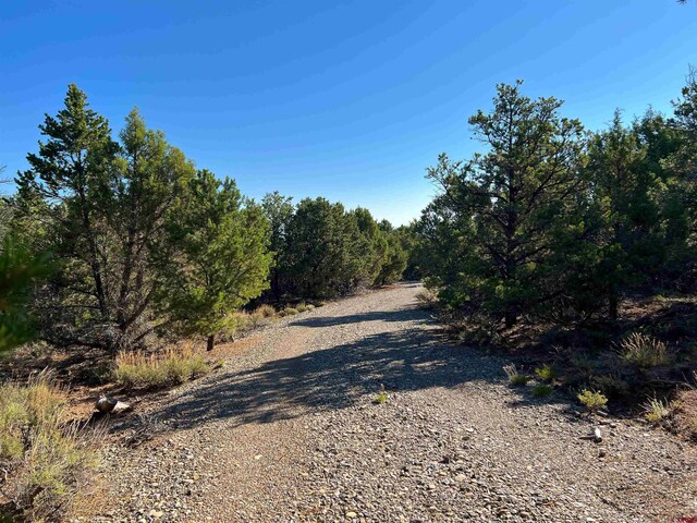 246 La Mesa Vista Dr, Norwood, CO 81423
