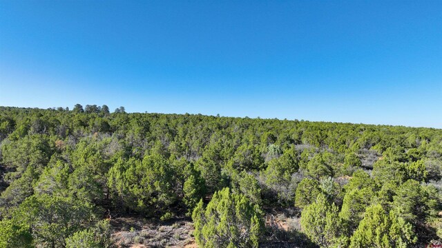 246 La Mesa Vista Dr, Norwood, CO 81423