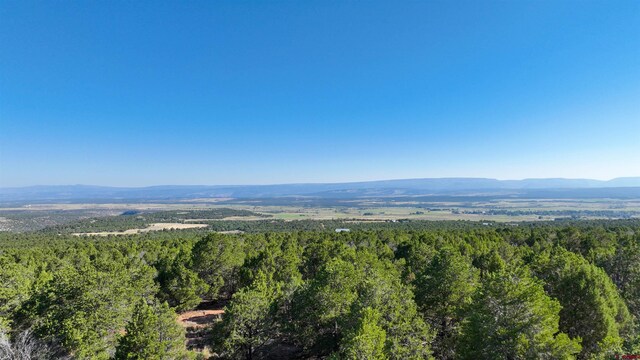 246 La Mesa Vista Dr, Norwood, CO 81423