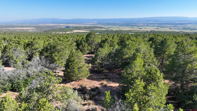 246 La Mesa Vista Dr, Norwood, CO 81423