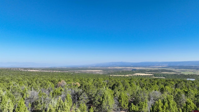 246 La Mesa Vista Dr, Norwood, CO 81423