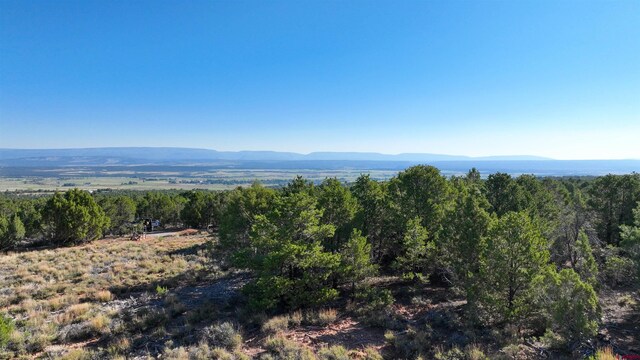 246 La Mesa Vista Dr, Norwood, CO 81423
