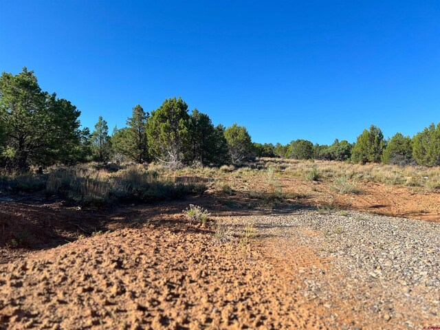 246 La Mesa Vista Dr, Norwood, CO 81423