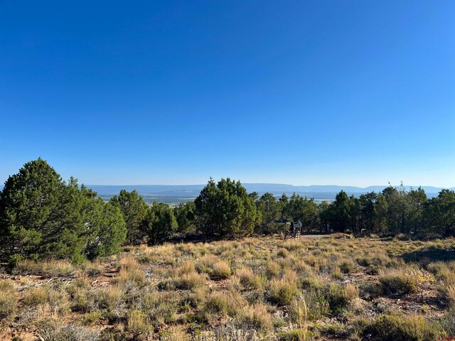 246 La Mesa Vista Dr, Norwood, CO 81423