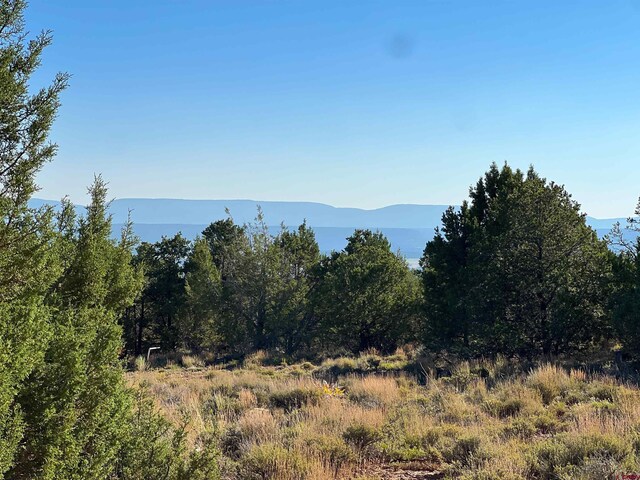 246 La Mesa Vista Dr, Norwood, CO 81423