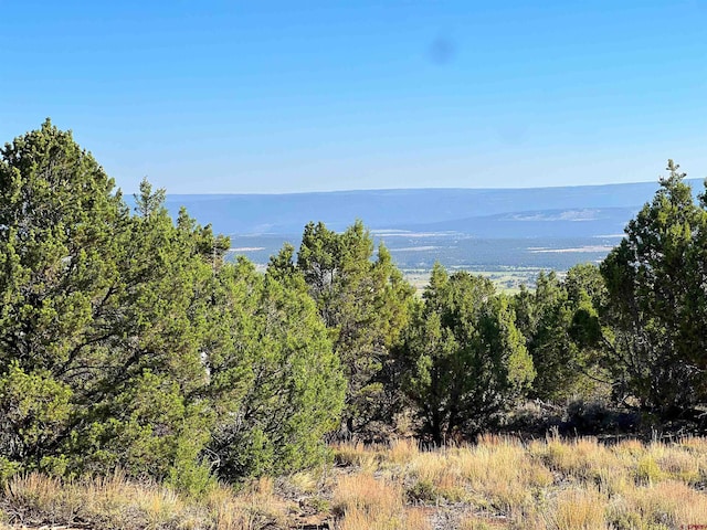246 La Mesa Vista Dr, Norwood, CO 81423