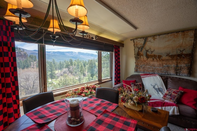 dining room with a textured ceiling