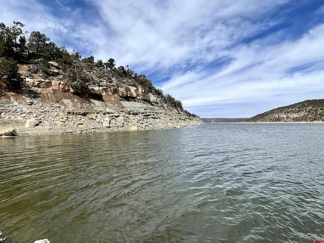 18812 Rd 27, Dolores, CO 81323 - property view of water featuring a mountain view
