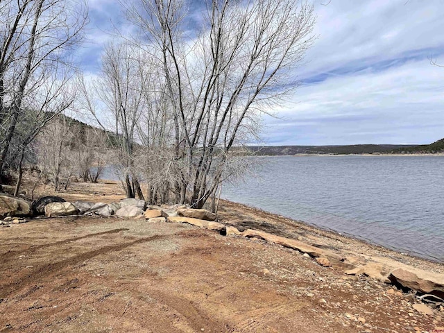 18812 Rd 27, Dolores, CO 81323 - water view