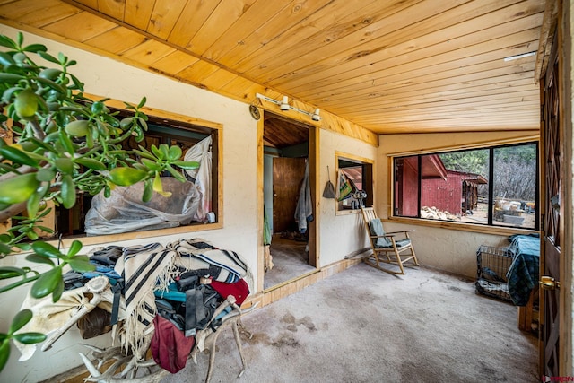 2229 Bear Creek Rd, Bayfield, CO 81122 - interior space featuring carpet flooring and wood ceiling