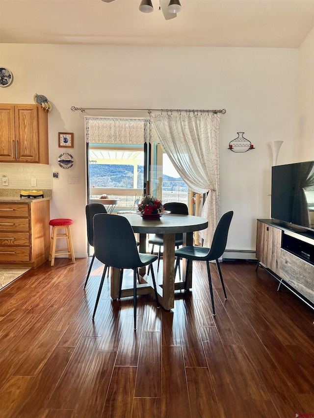 dining room featuring dark wood finished floors and baseboard heating