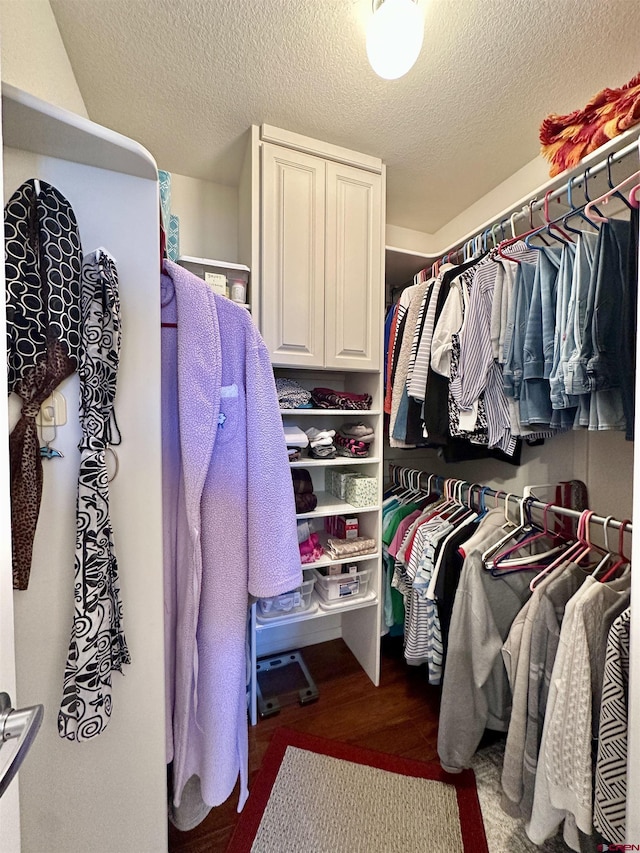 walk in closet featuring wood finished floors