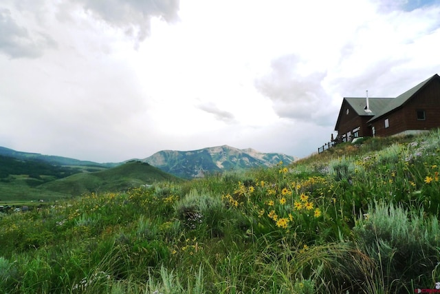 60 Zeligman St, Crested Butte, CO 81224