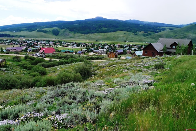 60 Zeligman St, Crested Butte, CO 81224